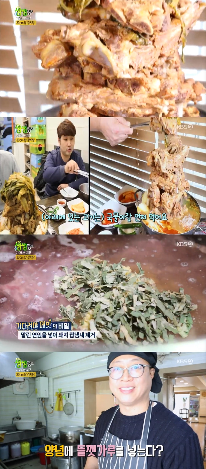 2TV »ý»ýÁ¤º¸