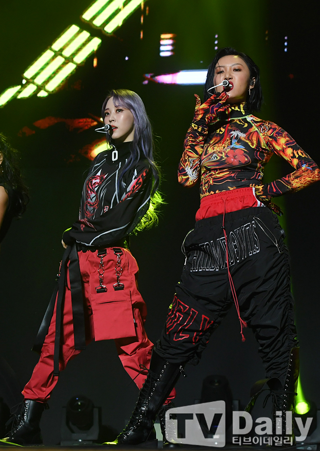 ƼºêÀ̵¥Àϸ® Æ÷Åä