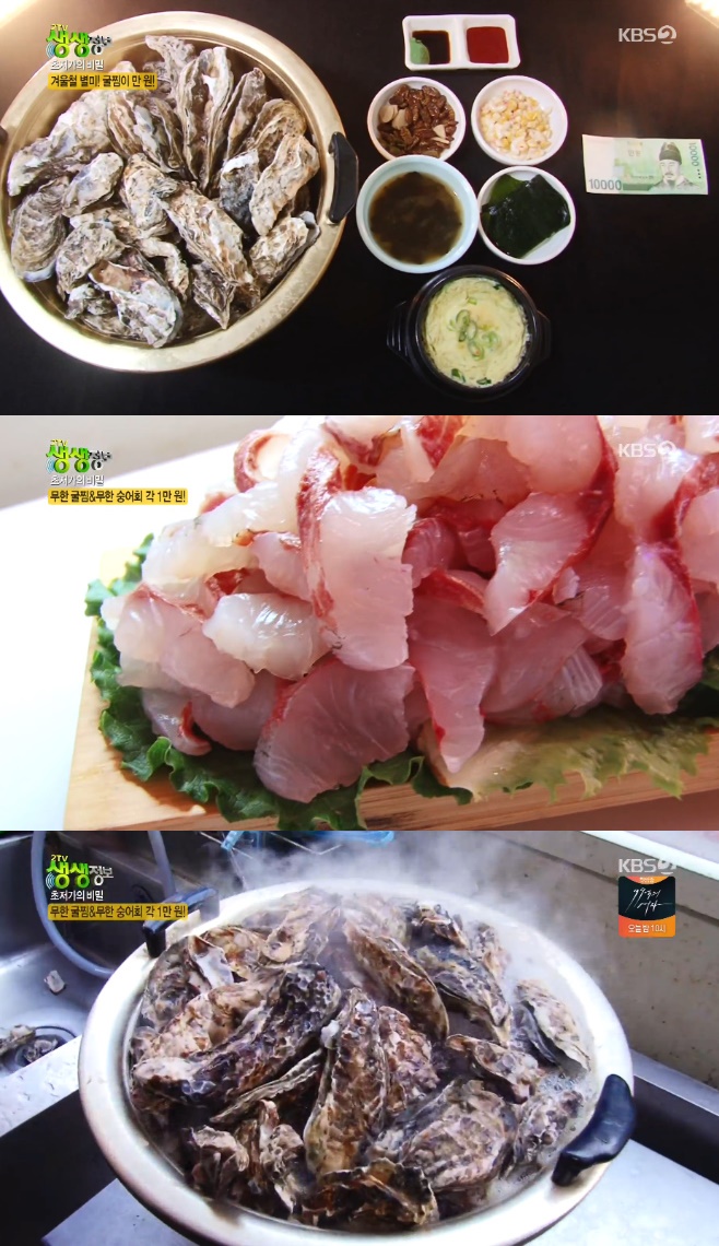 2TV �������� �������� ��� 1���� ���� ���� ���� ����ȸ ����Ƚ��