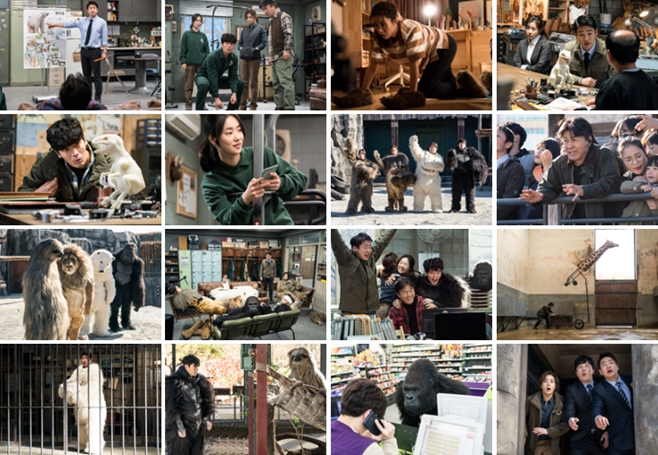 ��ġ���ʾ� ����ȫ ���Ҷ�