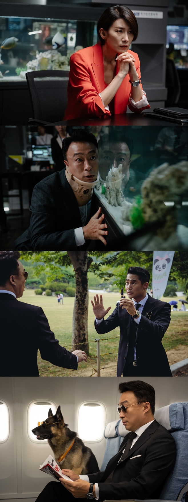 �̽��� ��