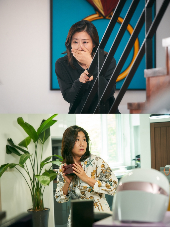 ������ �ĺ�