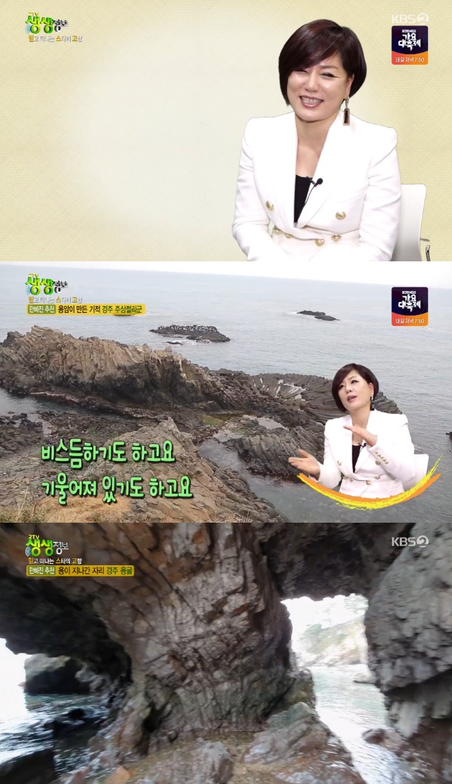 2TV �������� ������ ���� �뱼 �ֻ����� �񱼻�