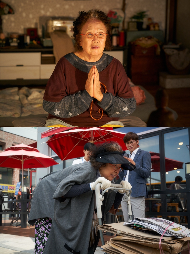 ������ �ĺ� ������