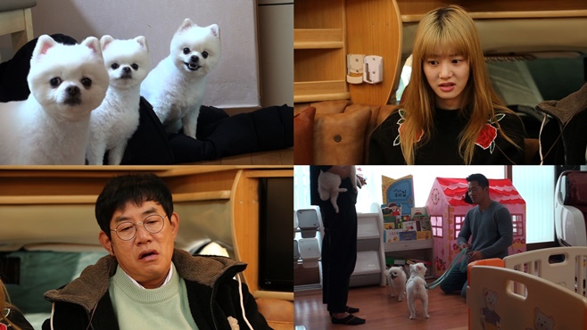 ���� �Ǹ��ϴ�