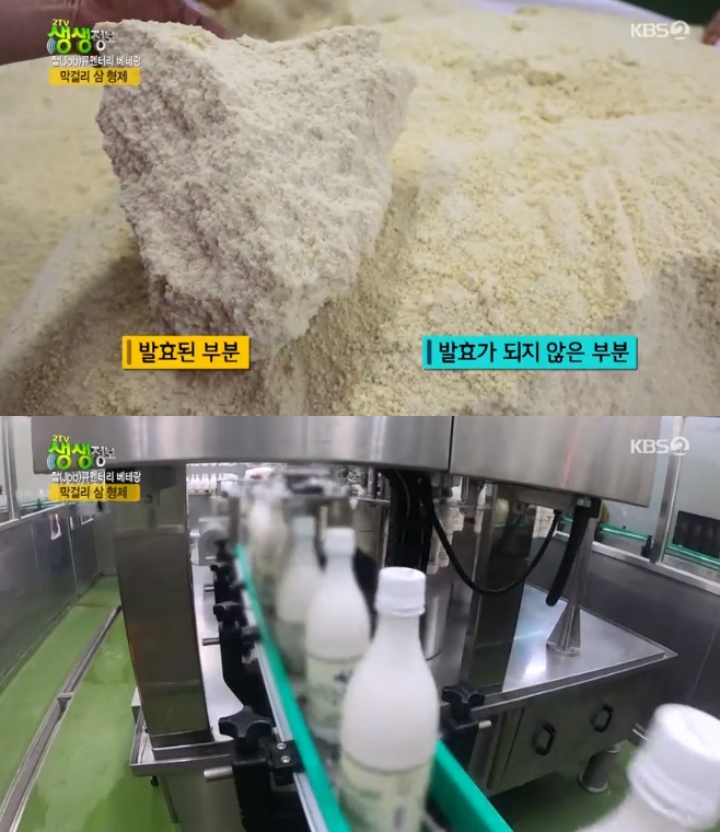 2TV �������� �ٵ����ְ� ���ɸ�