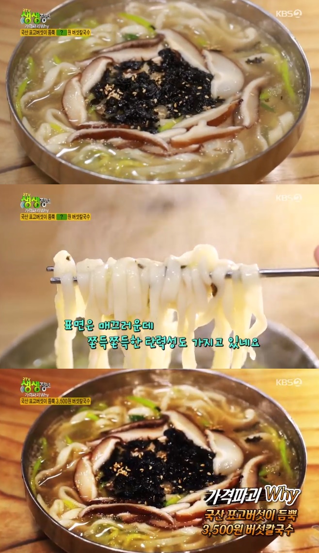 2TV �������� �����ı� WHY