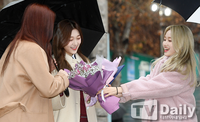 ƼºêÀ̵¥Àϸ® Æ÷Åä