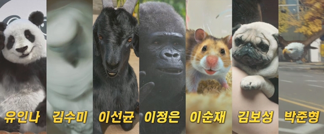 �̽��� ��: ����� VIP