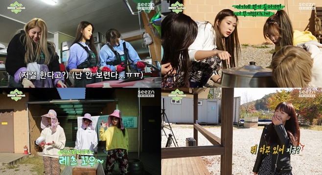 ³×ÀÌó ¸®ÇÁ·¹½Ã