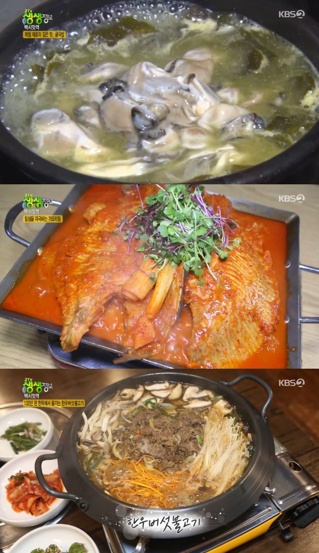 2TV �������� �ýø��� ������ �������� ��������ȸ �ѿ�����Ұ��� ��ȿ�������������