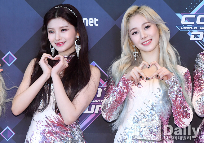 ƼºêÀ̵¥Àϸ® Æ÷Åä