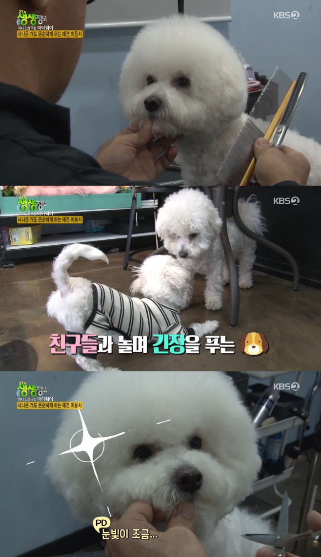 �������� ���� ���׺��� �ְ� �̿�� ����ö