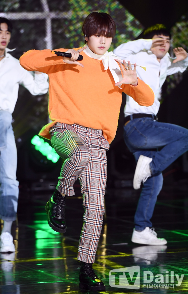 ƼºêÀ̵¥Àϸ® Æ÷Åä