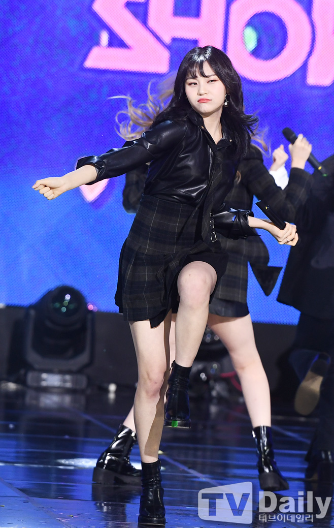 ƼºêÀ̵¥Àϸ® Æ÷Åä