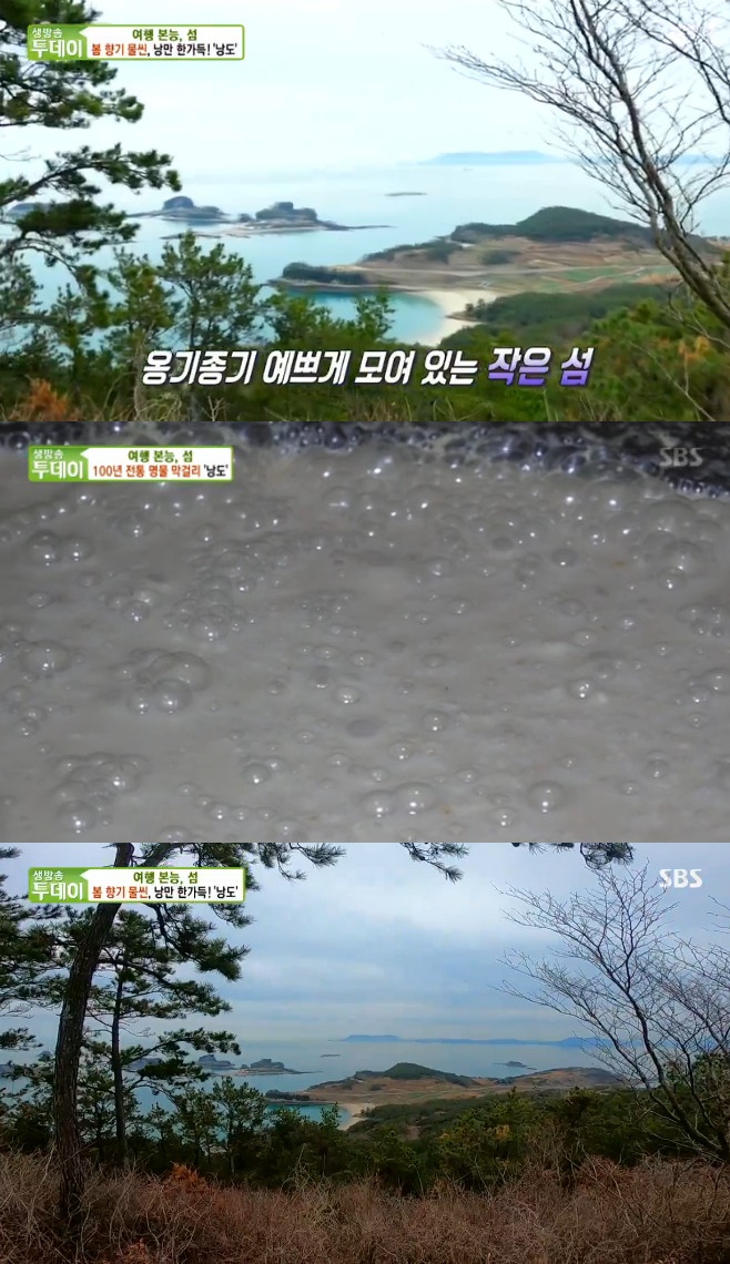 ����� ������ ���� ���ɸ�