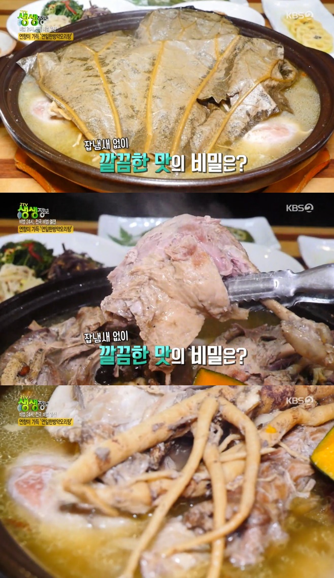 2TV �������� �����ѹ������� �� �� �� ������