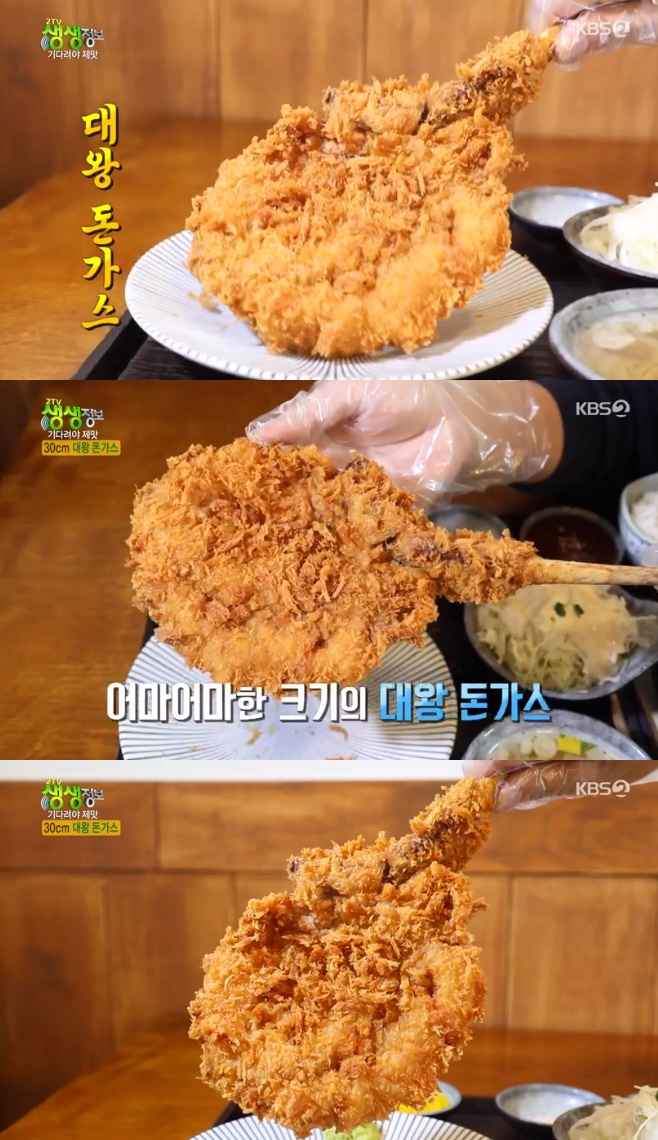 2TV �������� ��ٷ��� ���� �丶ȣũ 30cm ��� ������ ���� ����ī��