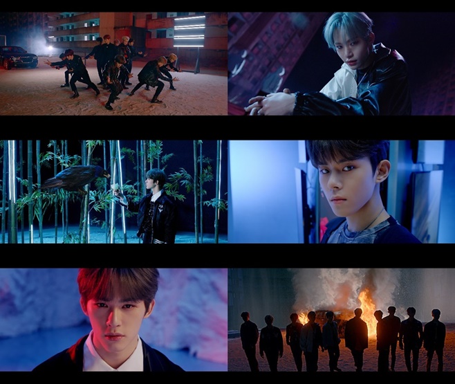 TOO ¸Å±×³î¸®¾Æ