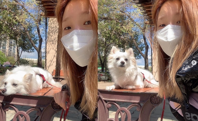 �ڼҴ� �ݷ���