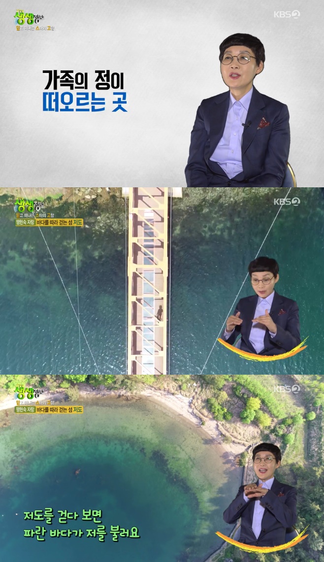 2TV �������� ������ ����