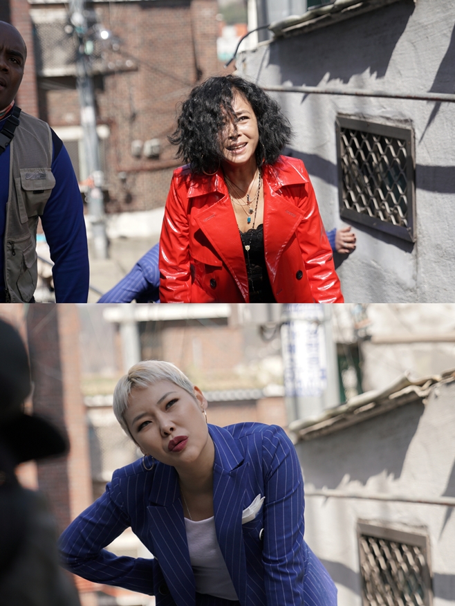 �ʹ��� ���ɻ�