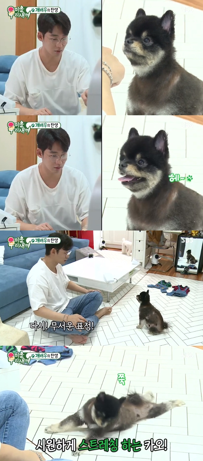 ̿ 츮 