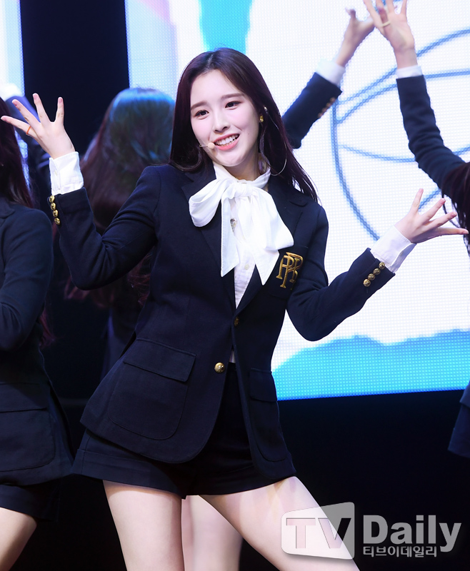 ƼºêÀ̵¥Àϸ® Æ÷Åä