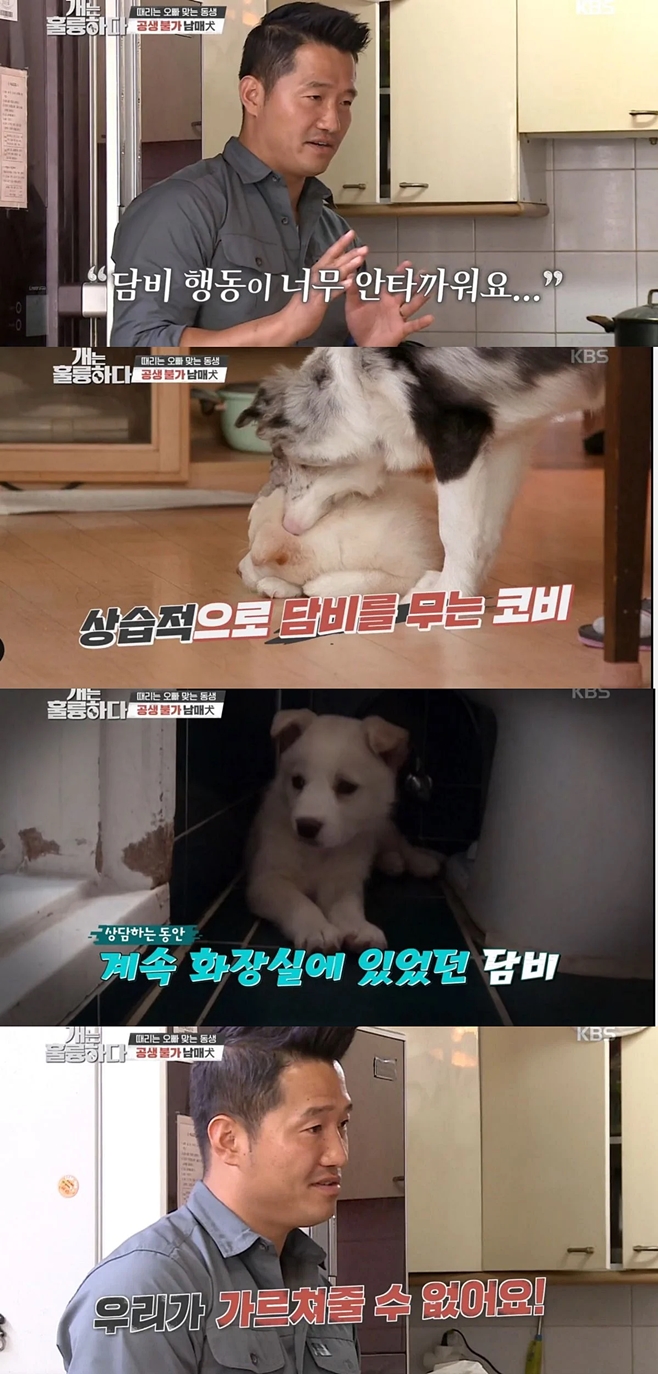 KBS2  Ǹϴ, 