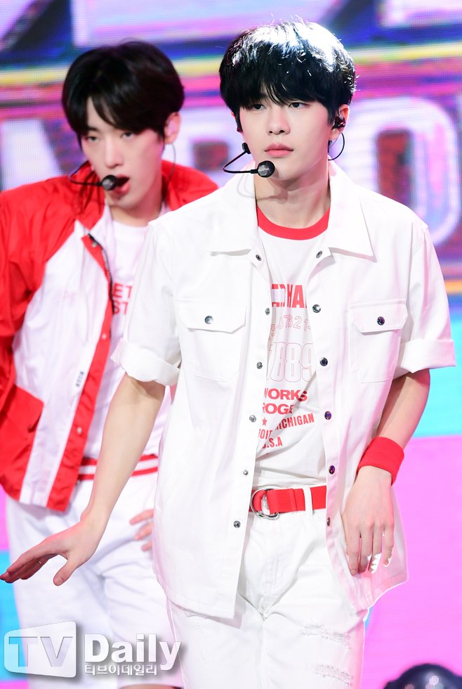 ƼºêÀ̵¥Àϸ® Æ÷Åä