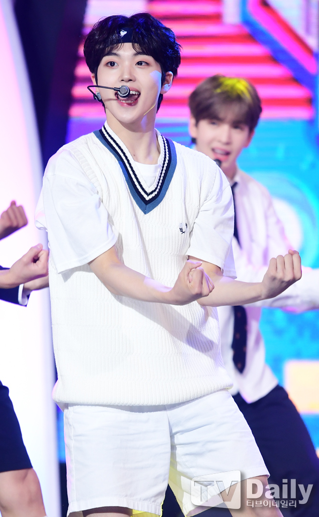 ƼºêÀ̵¥Àϸ® Æ÷Åä