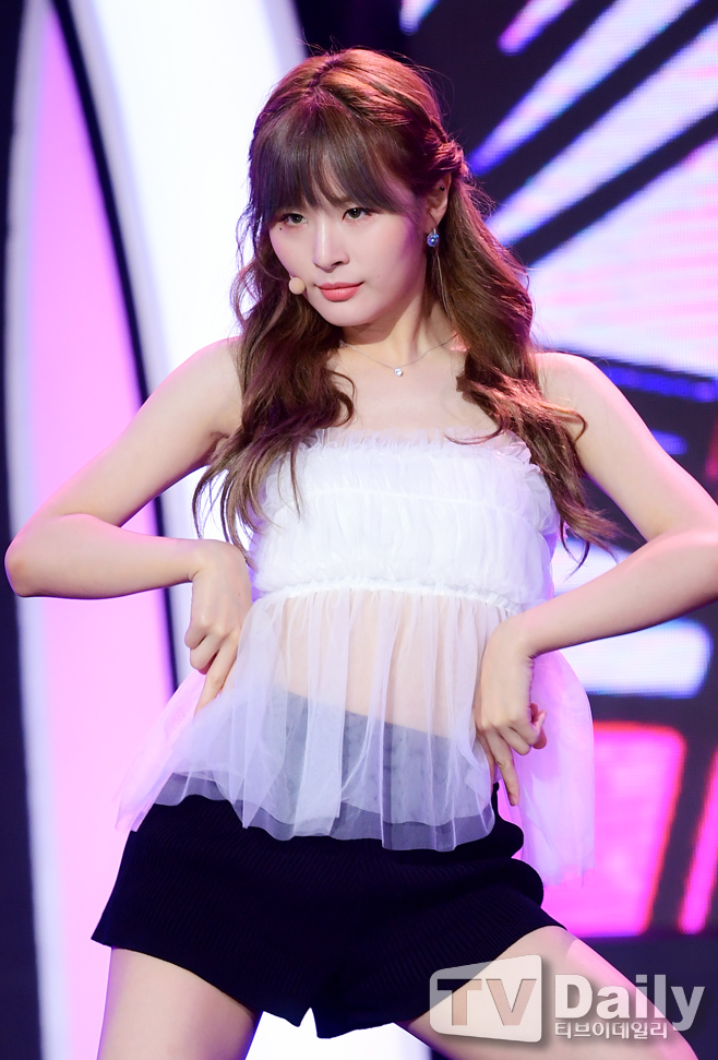 ƼºêÀ̵¥Àϸ® Æ÷Åä