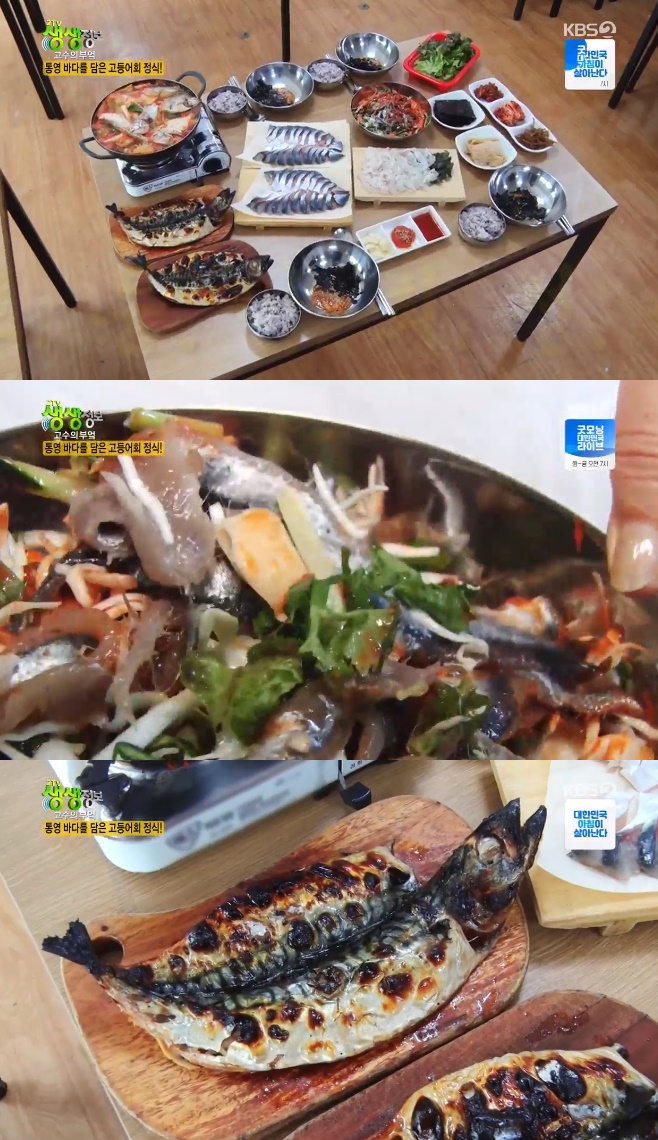 2TV �������� ������ �ξ� ����� ����