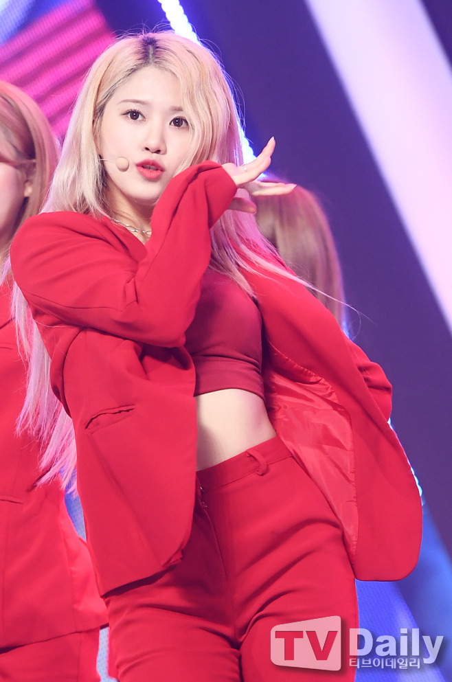 ƼºêÀ̵¥Àϸ® Æ÷Åä