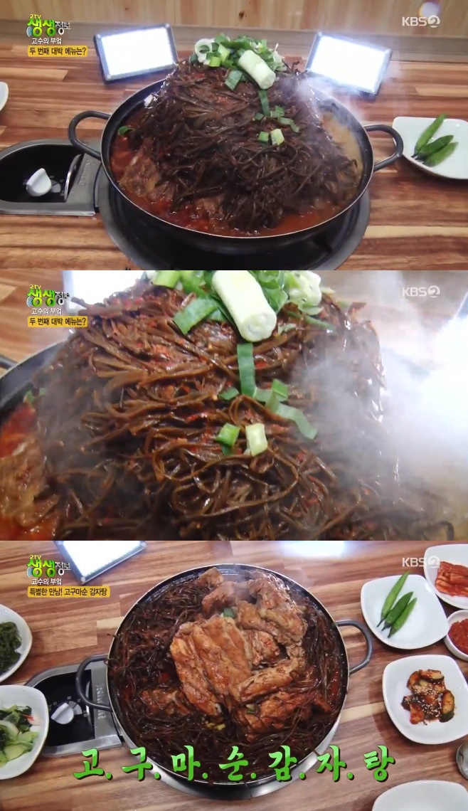 2TV �������� ������ �ξ� �������� ������ ���� ���ϽĴ�