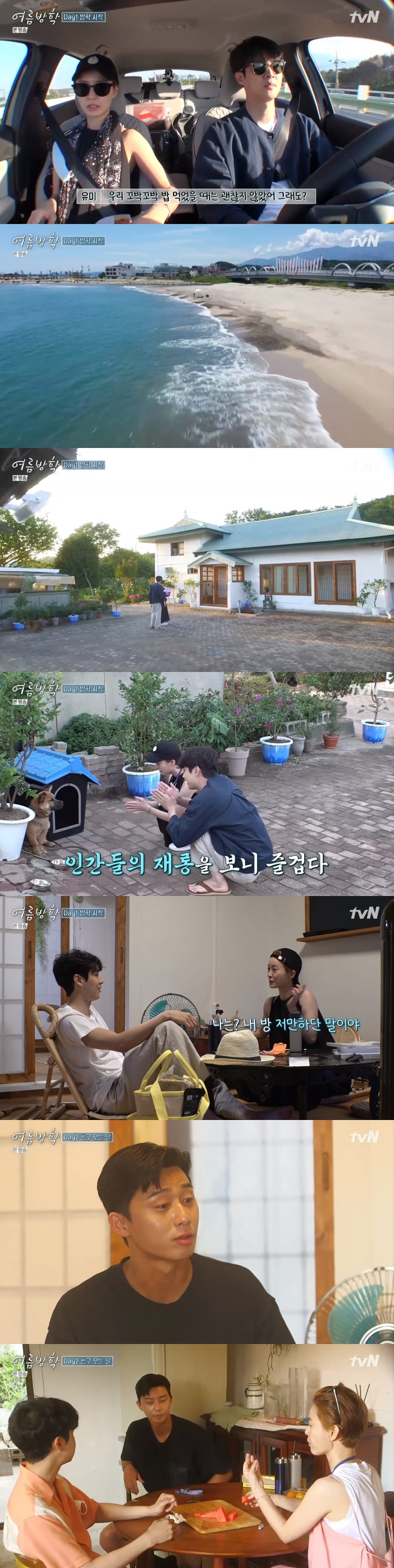 tvN 