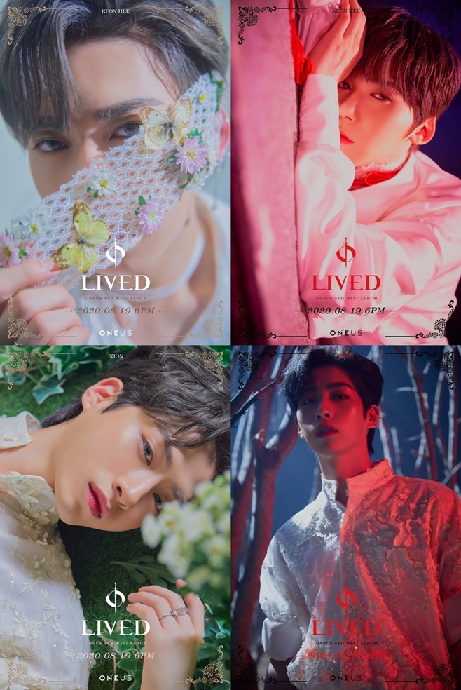 ¿ø¾î½º ¶óÀ̺êµå