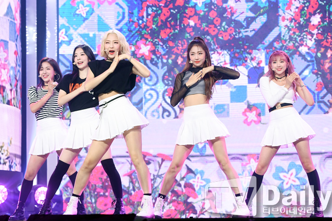 ƼºêÀ̵¥Àϸ® Æ÷Åä