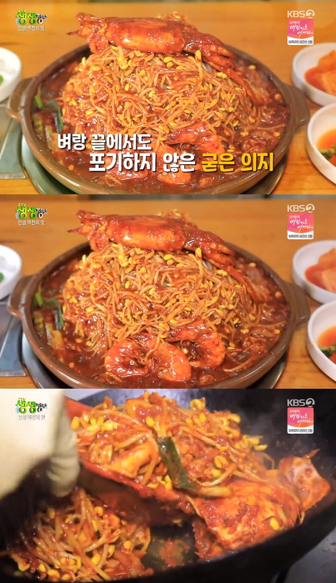 2TV �������� �ع� ��� ���� ž ����