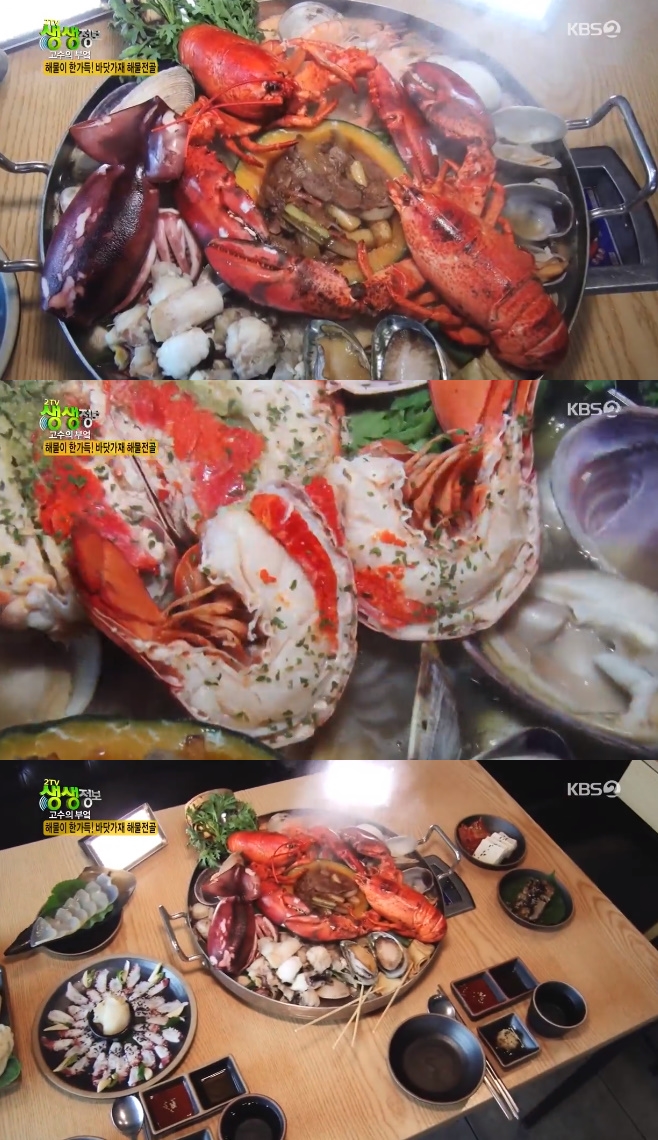 2TV �������� ������ �ξ� �ٴ尡�� �ع����� ��ǳ