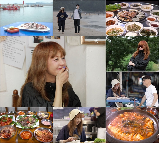 �İ� �㿵���� ��ݱ��� ������