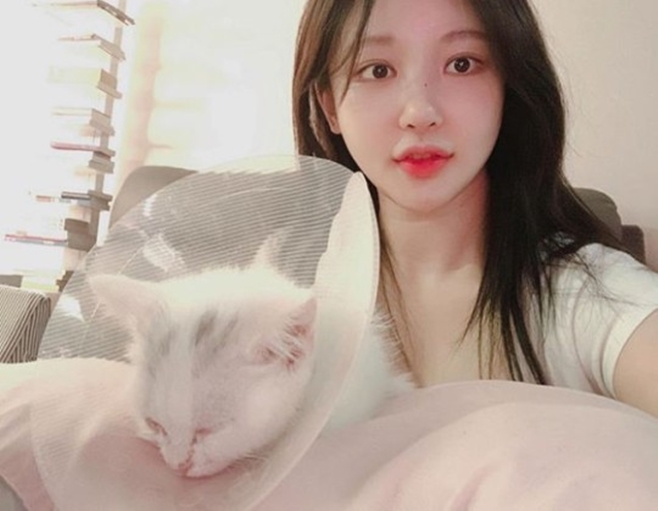 BJ ������