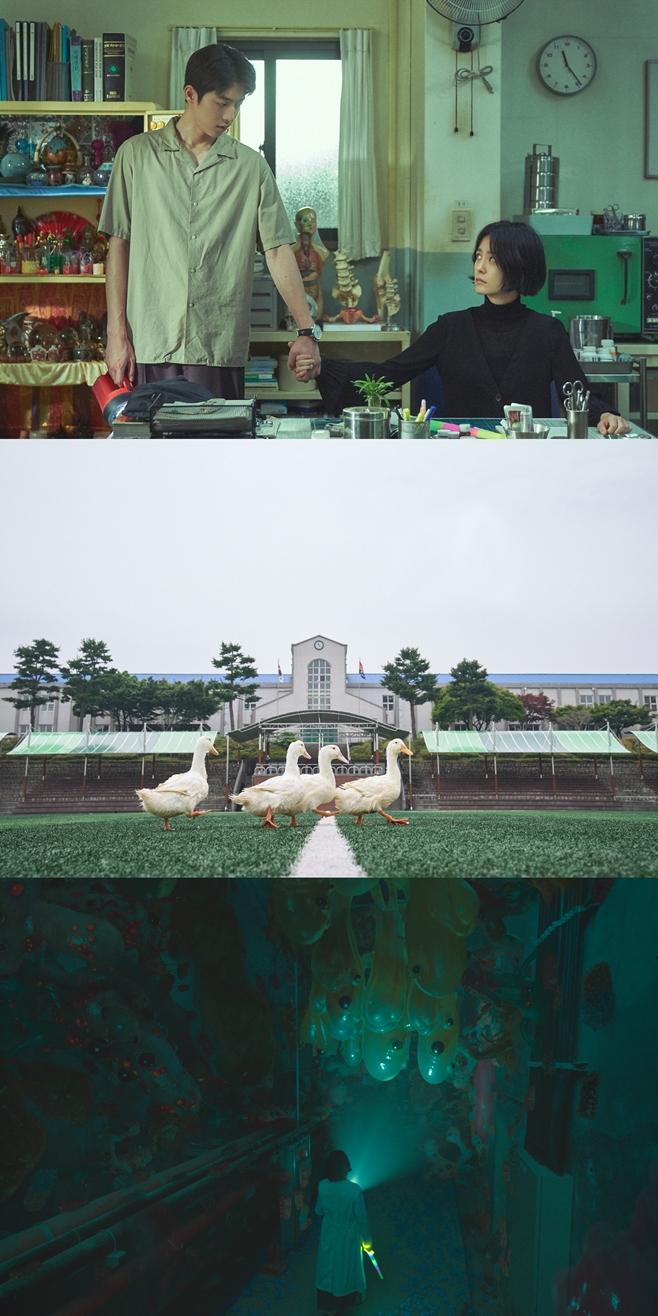 º¸°Ç±³»ç ¾ÈÀº¿µ