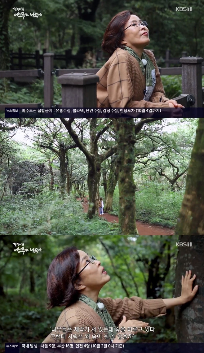 ������ ������ �̼��� ���� ���ڳ��� ��