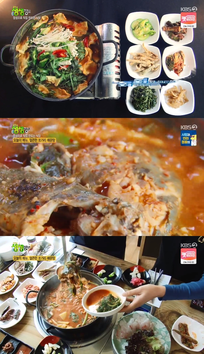 2TV �������� ��� �ſ���