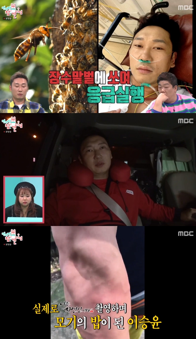 ������ ���� ���� �̽��� �Ŵ��� ���Ʊ�