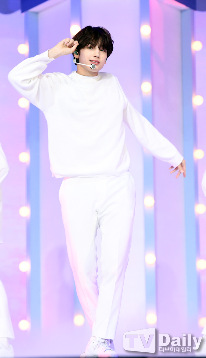 ƼºêÀ̵¥Àϸ® Æ÷Åä