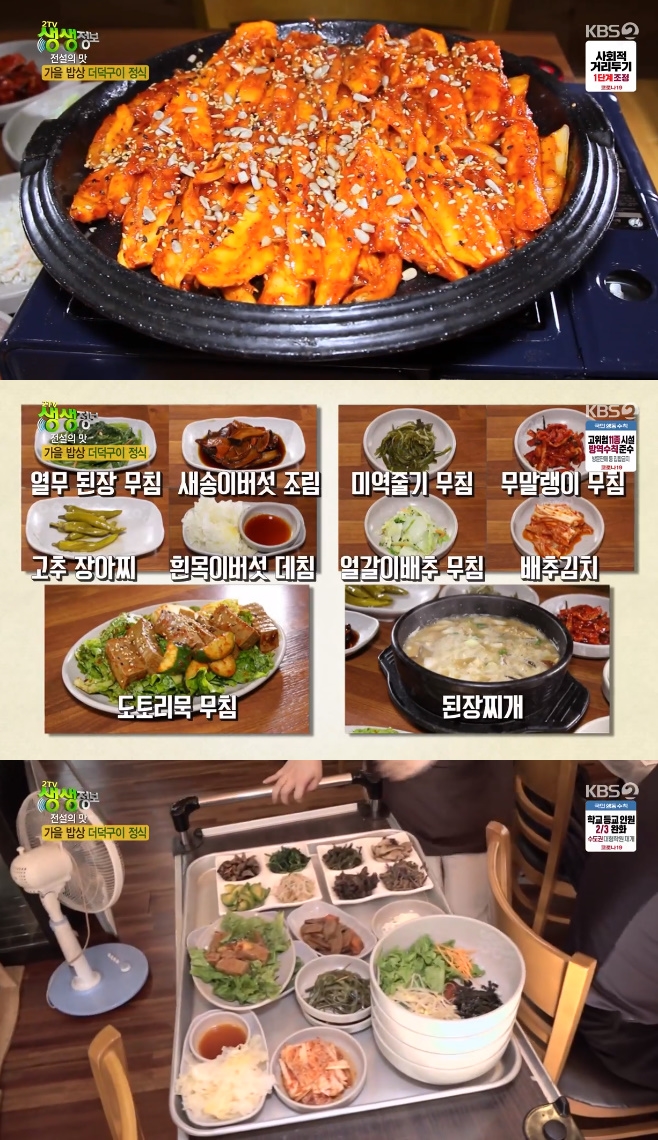 2TV �������� ������ �� �������� ���� ���ɸ���