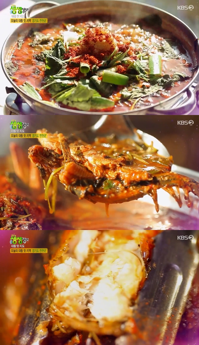 2TV �������� �뵿������ �ι��ſ��� �ؾ��� ��ź�Ұ���