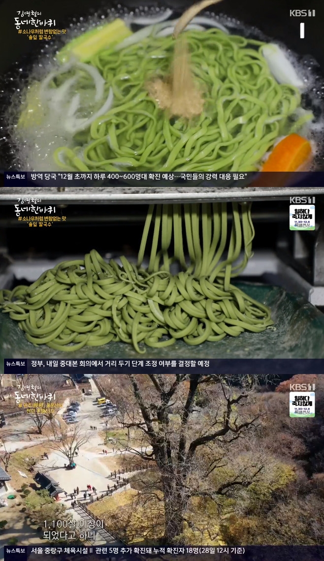 �迵ö�� ���� �� ���� ���� ���� Į���� �빮��